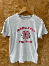 Vintage 90s Transylvania University T-Shirt - Gray - Size Small
